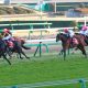 JRA「暴れ馬」カテドラルの真価は!? 京成杯(G3)中山コースなら問題なし?