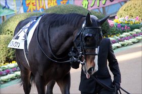 JRA「親子調教師」の悲喜こもごも……「所属馬問題解消」も「スタッフのイメージ」根強く？