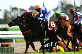 【衝撃！】悪夢の一日に武豊も絶句!!　マイルCSはさらに絶望の一日となってしまうのか？