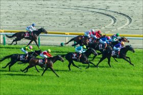 JRA暴走王ダノンマジェスティが「反則勝ち」!? M.デムーロ騎手に「騎乗拒否」された問題児に、和田竜二騎手あわや騎乗停止……