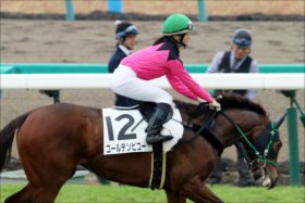 JRA藤田菜七子騎手あわや「八百長」被害者!? レース中「おめでとう！藤田菜七子騎手 今年初勝利」表示にファン騒然……