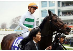 JRA大阪杯（G1）キセキ「有馬燃え尽き」惨敗でパワーアップ!? 距離不安説も「2000mの方がいい」