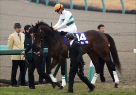 JRA大阪杯「耳寄り情報」!!　キセキら西の実力派が虎視眈々と上位進出を狙う