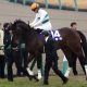 JRA天皇賞・春(G1)ユーキャンスマイルに「勝負気配」!? 東西有力馬の情報をお蔵出し!!