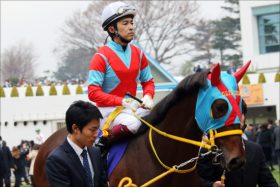JRA天皇賞・春（G1）「キャリア抜群」クリンチャー×三浦皇成でいよいよ？ チャンス十分な理由