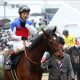 JRA藤田菜七子「2桁着連発」新ルール適用まで我慢の時?