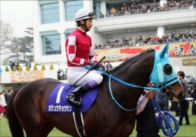 【ステイヤーズS（G2）展望】オジュウチョウサン「M.デムーロ騎乗」で重賞制覇なるか？ 4勝目アルバート、連覇リッジマンにも注目！