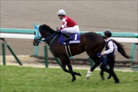 JRA障害王オジュウチョウサン「3月以降復帰」激闘の疲れ、武豊兼ね合い……考えられる「次走」はアノレース？