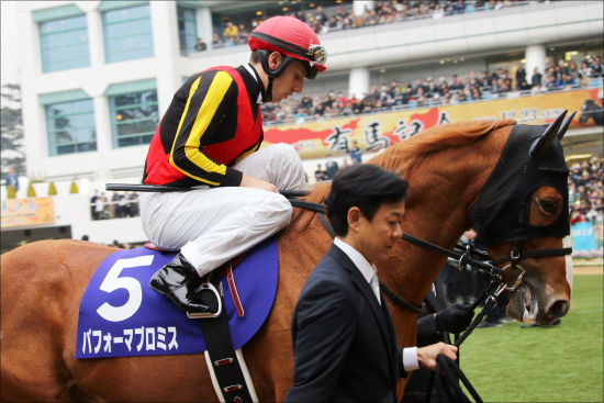 JRA京都大賞典（G2）キセキ「切り」で4点勝負!! オールカマー『◎』センテリュオの激アツ「関係者現場レポート」から見出したダークホースは？の画像2