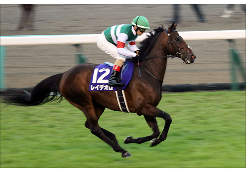 JRAオールカマー(G2)福永祐一がレイデオロに不満!? 関係者絶賛馬で三連単勝負決行!の画像1