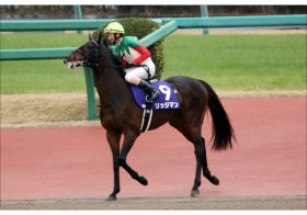 JRA天皇賞・春（G1）「余裕の切り」リッジマンは無視でいいのか？ データ通用しない「今年」なら？