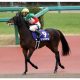 JRA阪神大賞典(G2)は前走復活Vシャケトラから相手2頭……「現場ネタ」で強気な3連単「2点勝負」!!