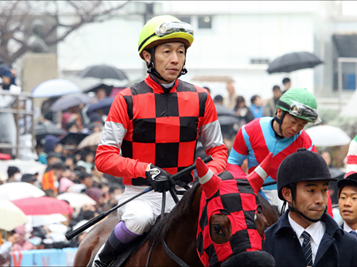 JRAイルーシヴパンサー「1番人気」に陣営も嘆き節!?　 武豊ファインルージュ不完全燃焼　スターズオンアースの三冠が47年ぶりに幻に？　「16冠ベビー」が大誤算!　名騎手絶賛の大物候補が完敗…函館スプリントS出走桜花賞3着馬に「反則」の声【週末GJ人気記事ぶった斬り！】の画像5