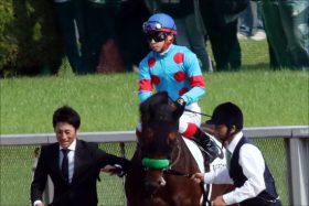 JRA 宝塚記念（G1）ラッキーライラックら現地「シークレット情報」が到着!! “蜜”月な関係者からの“耳打ち“でオイシイ思い!?