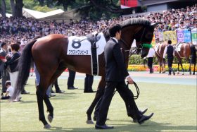 JRA菊花賞有力ブラストワンピースV宣言も、厩舎名物「迷走」の気配？ 「左回りにこだわり」新潟記念始動も「本番」は……