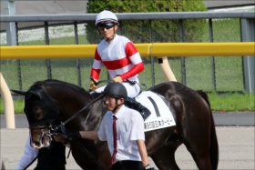 JRA2歳王者ダノンプレミアム天皇賞・秋参戦！ 「3歳馬の鬼門」で豪華メンバーを蹴散らせるか