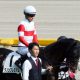 JRAセントウルS(G2)ダノンスマッシュ三浦皇成とコンビ続行は割引!? 川田将雅より悲惨な重賞成績にG1制覇さらに遠のくか