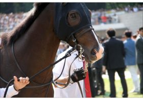 JRAダノンプレミアムは「何故」マイラーズC（G2）なのか？「マイルでは負けない」陣営が下した決断と、その証明へ