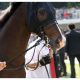 JRA【マイラーズC(G2)結果】ダノンプレミアム完勝で「アーモンドアイ」直接対決へ!? 安田記念(G1)は「現役No.1」を懸けた一戦に!