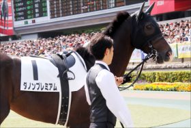 JRAダノンプレミアムはD.レーンと「新コンビ」決定。「負けられない」川田将雅！ 京王杯SCの屈辱を安田記念（G1）でリベンジか!?