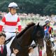 【小倉2歳S(G3)展望】3連勝のかかるシングルアップ!重賞制覇で若きスピードスターとなれるか?