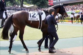 【菊花賞（G1）枠順確定】エポカドーロ、エタリオウの枠は？　3歳牡馬クラシック最後の1冠の行方を左右