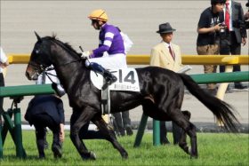 JRA「ダービー驚愕4着馬」エタリオウが2強を脅かす!? ステイゴールド「最後の大物」へ好走必至か