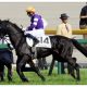 JRAジャパンC(G1)シュヴァルグラン「衰えナシ」スミヨンと得意舞台で躍動しそうな理由