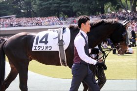JRA「ダービー大激走」アノ馬にデムーロ白羽の矢……菊花賞に向け、豪華トライアルに挑む