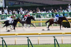 JRA3歳ダート路線の「歪み」ユニコーンS（G3）「大量抽選馬」の怪？ 異例の除外ラッシュに現場から不満の声……
