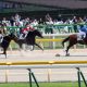 JRA「遅れてきた超大物」はオーナーも大物揃い!? ブエナビスタ草野仁、アルアイン山本昌「神の相馬眼」で大成功続きの著名人が太鼓判!