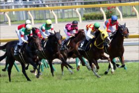 JRA「超話題」の2歳馬サートゥルナーリア出陣！ 圧倒的評判を誇る日米オークス馬シーザリオ「最高傑作」が早くもデビュー！