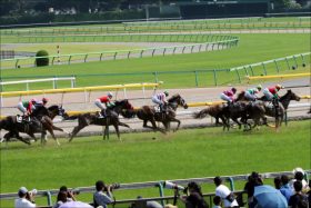 JRA日本ダービー（G1）観戦は「猛暑」で熱中症対策必須！ 「体感30度以上」で10万人大観衆はキツすぎる！