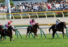 JRA東京新聞杯（G3）仕切り直しのロジクライ！ 横山典弘騎手の「責務」