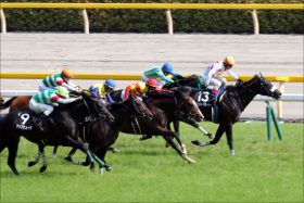 マイネル岡田総帥「最終兵器」デビュー！ 超良血オルフェーヴル×ホエールキャプチャに「次元が違う」来年の英ダービー登録！