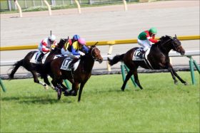 2019年JRA展望～アーモンドアイ・3歳クラシック・古馬戦線・角居調教師復活・外国人騎手・地方競馬も～