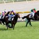 JRA賞「最優秀3歳牡馬」ブラストに不満? アーモンドアイ「18年ぶり満票」年度代表馬に称賛も「芝至上主義」の声