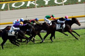 JRA「菊花賞有力に？」500万下圧勝の「大器」が虎視眈々と秋の「覇」を狙う