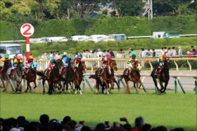 JRA「日本ダービー故障馬」続出の怪……キンカメ「死のダービー」で想起する「高速馬場の代償」説