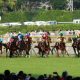エプソムC(G3)JRA「美浦関係者称賛」2頭で決まり!? 「自信の2頭出し厩舎」に要注意