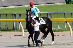 JRA藤沢和雄調教師「不運」ゴーフォザサミット米国遠征断念……しかし「秋は逆に買い」？