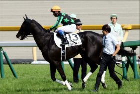 JRA中日新聞杯「高配当の使者」!? 関係者情報が見出した狙い目とは