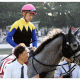 JRA皐月賞(G1)未完の大器ヴェロックスは「勝率50%」!? 川田将雅×中内田充正「リーディング・コンビ」による驚異の成績