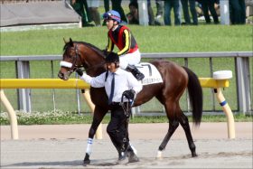 JRAセントライト記念（G2）「ダービー最先着馬」の法則!? 鉄板級から「地雷」まで……ダービー3着馬コズミックフォースの取捨は