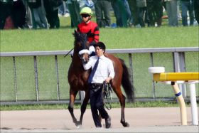 JRA菊花賞（G1）「乾坤一擲」オウケンムーンが大波乱の使者!? 父オウケンブルースリが成し遂げた「淀の伝説」再び