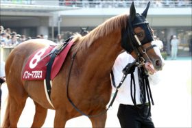 宝塚記念（G1）パフォーマプロミスが戸崎圭太と「持ってる馬」証明へ。過去戦績と血統から軽視不可能か