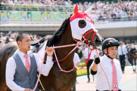 JRA中山金杯（G3）「未知の魅力」ステイフーリッシュの実力は？ 舞台は「ベスト」か