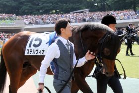 JRA新馬「白い皇帝」超良血初陣！ すでにステルヴィオ以上!?