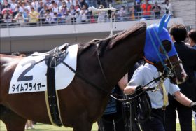 JRAチャンピオンズC「美味すぎ穴馬」タイムフライヤー絶好！ 松田国英調教師「ここまで狙い通り」3度目の“1本釣り”へ勝負仕上げ