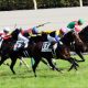 JRA「帰還・中山巧者」がオールカマー(G2)をかき乱す? ミライヘノツバサ1年半ぶり登場